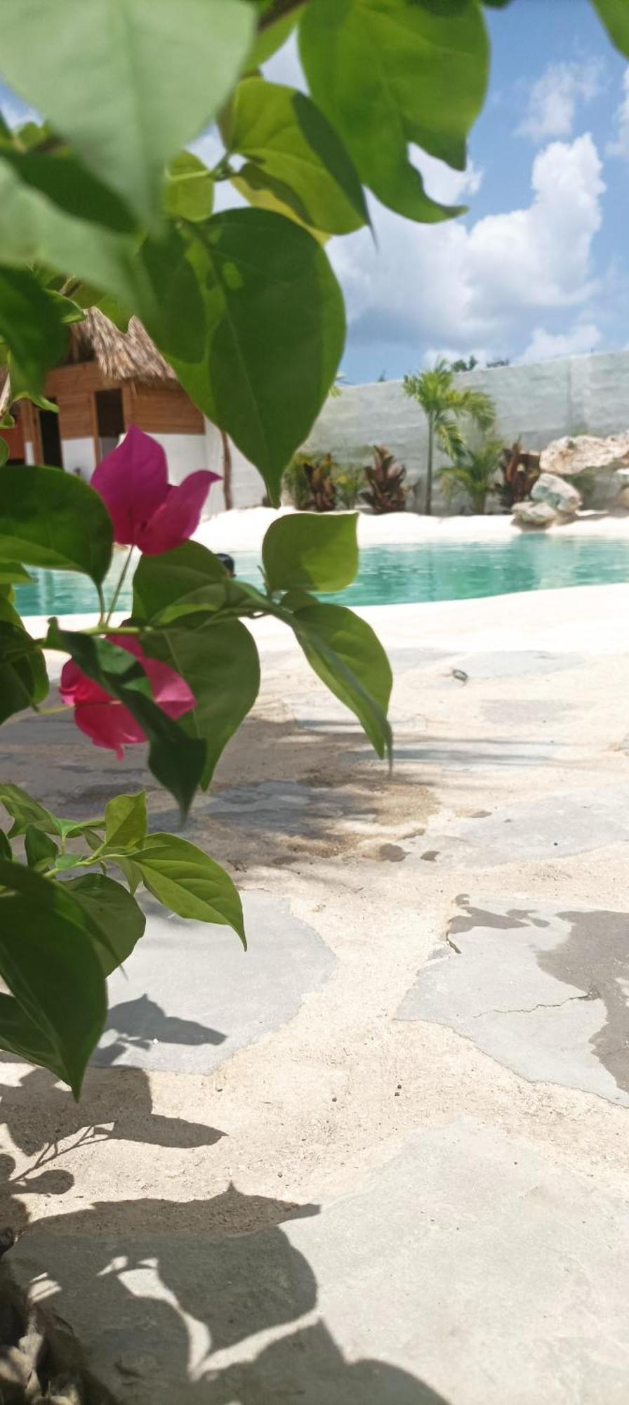 Blue Beach Eco-Hotel By Sanfabini บายาฮิเบ ภายนอก รูปภาพ