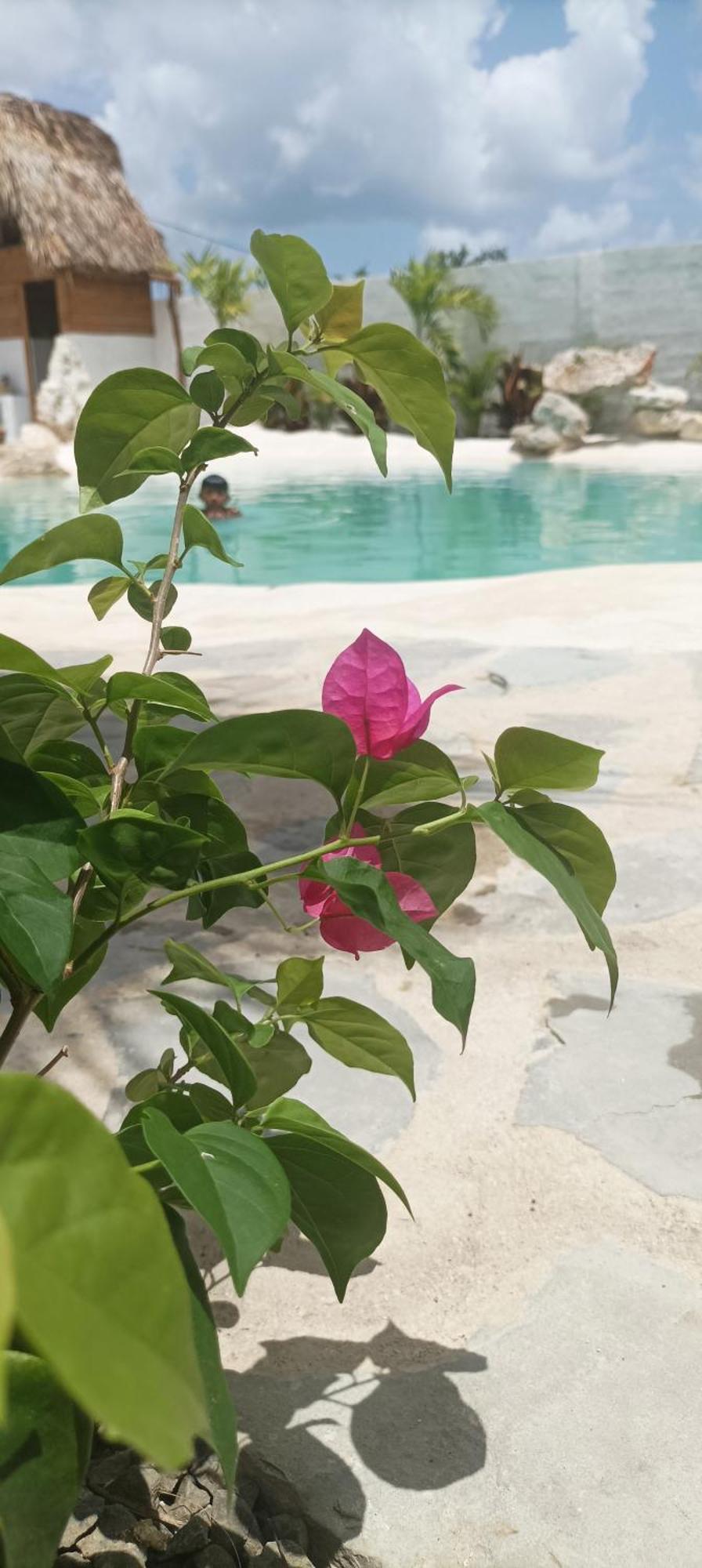 Blue Beach Eco-Hotel By Sanfabini บายาฮิเบ ภายนอก รูปภาพ